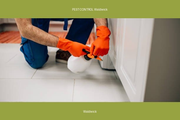 PEST CONTROL Waldwick